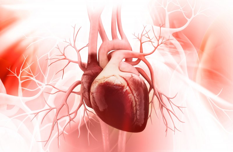 Illustration of a heart